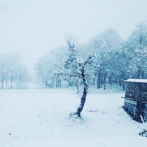 Lane : Things That Didn't Go the Way We Had Hoped​.​.​.